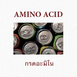 Amino Acid